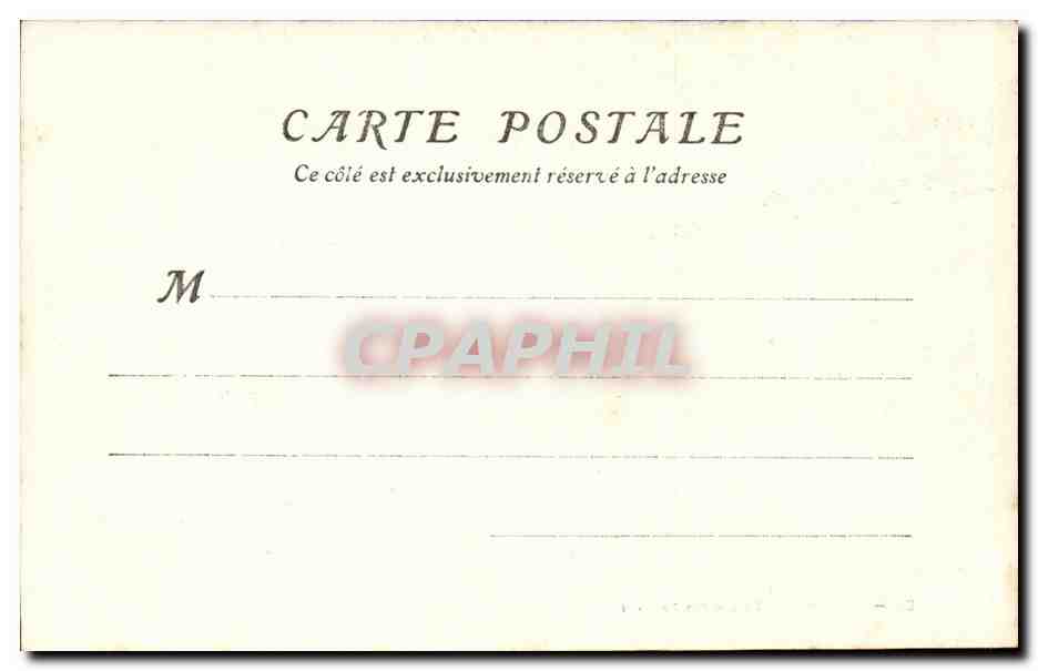 Cote d'Azur - un Pin Parasol - pine - arbre - tree - CPA  — Back
