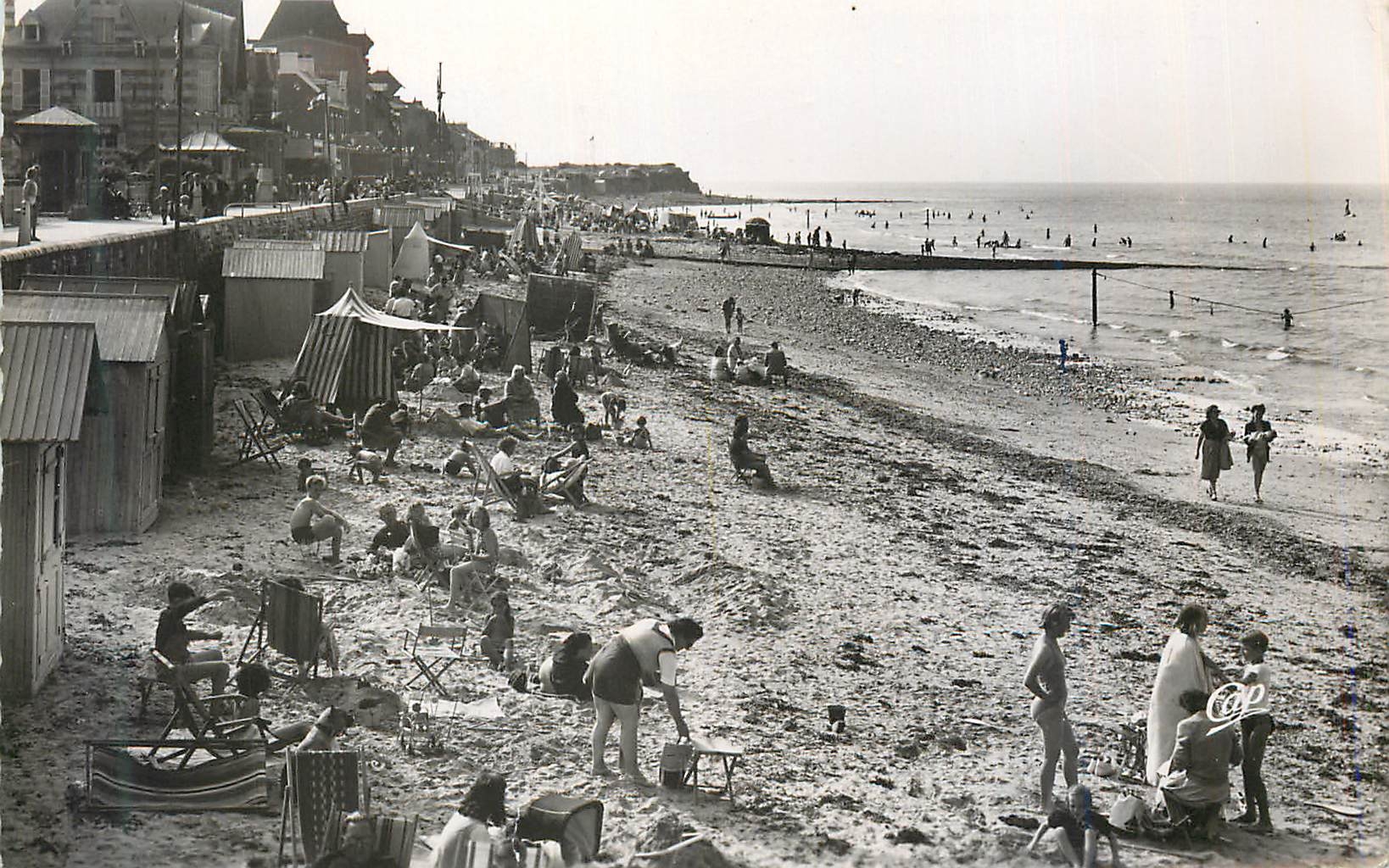 CPM St Aubin sur Mer  Vue Generale de la Plage