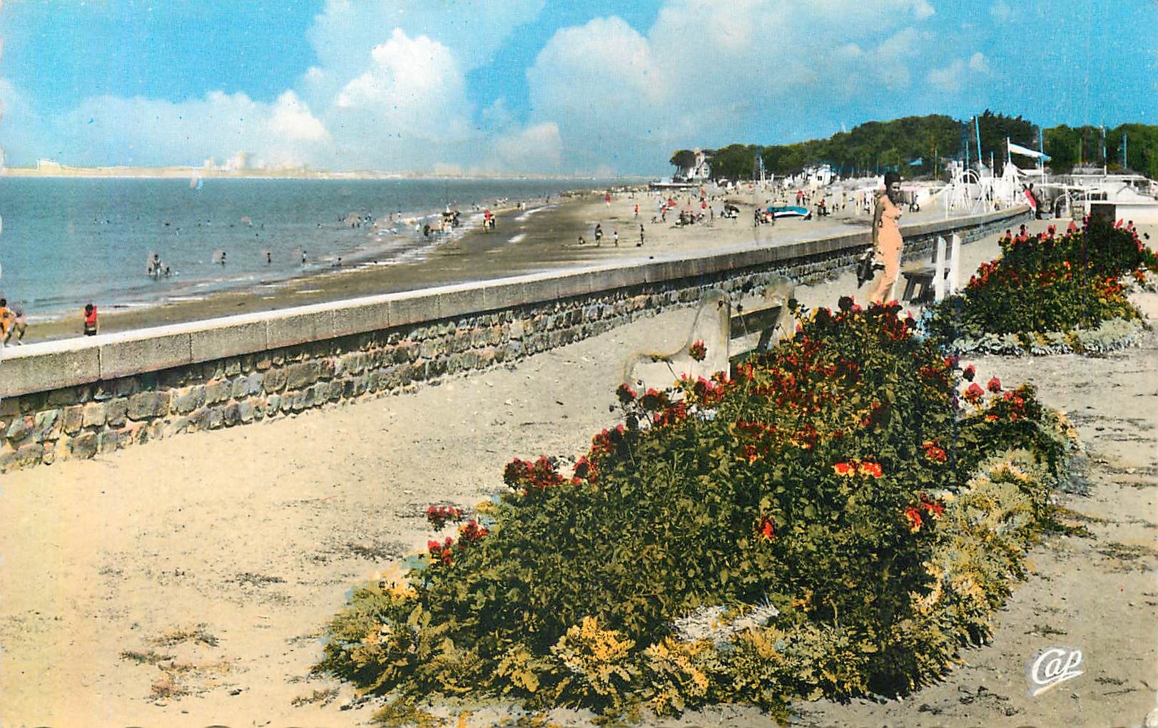 CPM Cote de Jade St Brevin La Plage et les Parterres