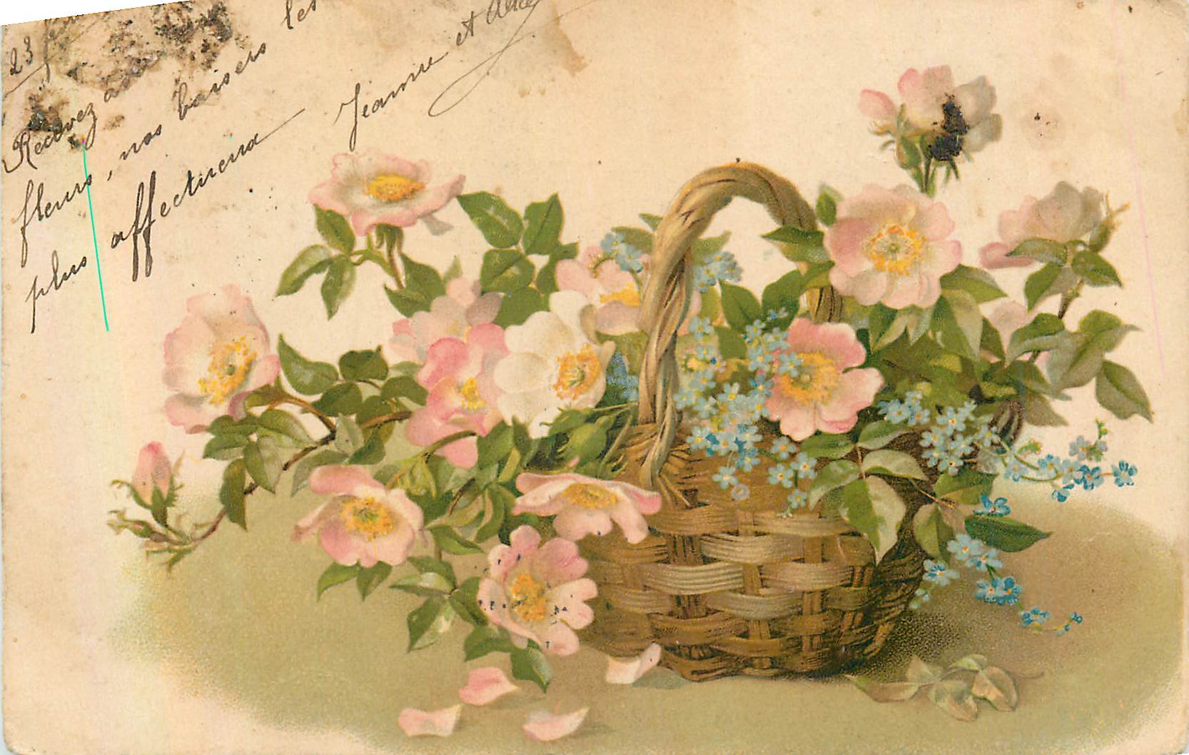CPA Fleurs