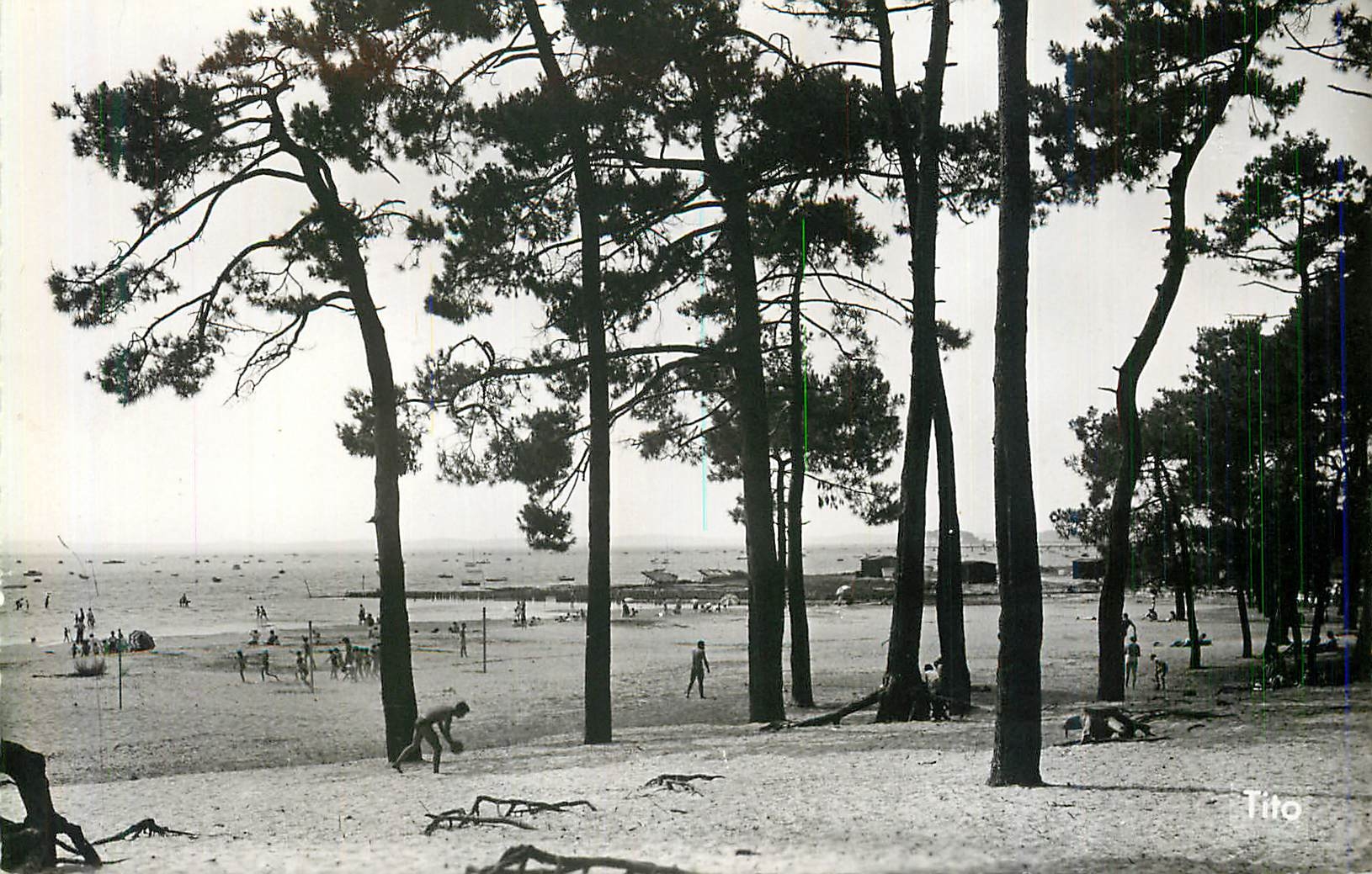 CPM Andernos les Bains La Plage du Betey