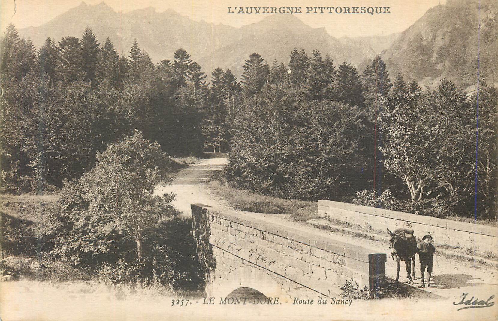 CPA Le Mont Dore L'Auvergne Pittoresque Route du Sancy Ane Donkey