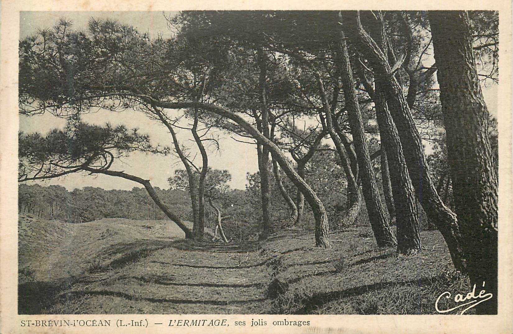 CPA St Brevin l'Ocean (L Inf) l'Ermitage ses Jolis Ombrages les Belles Plages de l'Ocean la Cote de Jade