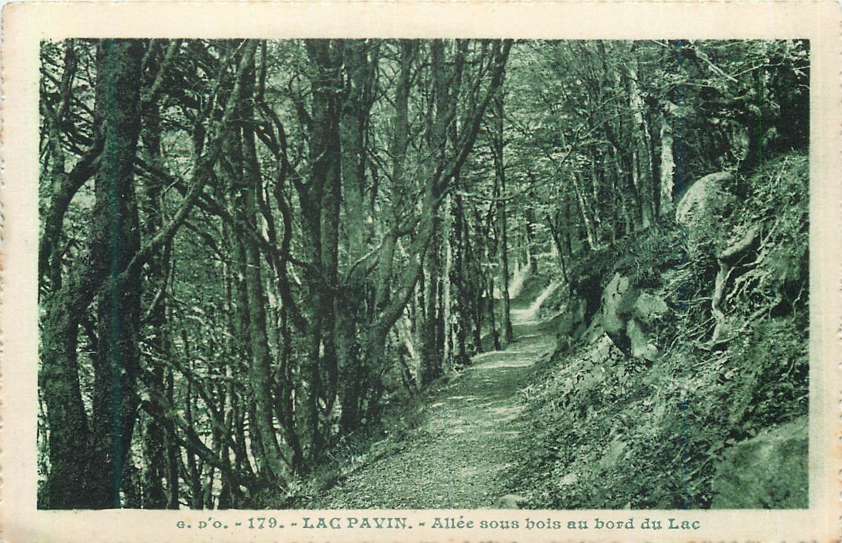 CPA Lac Pavin Allee sous Bois au Bord du Lac