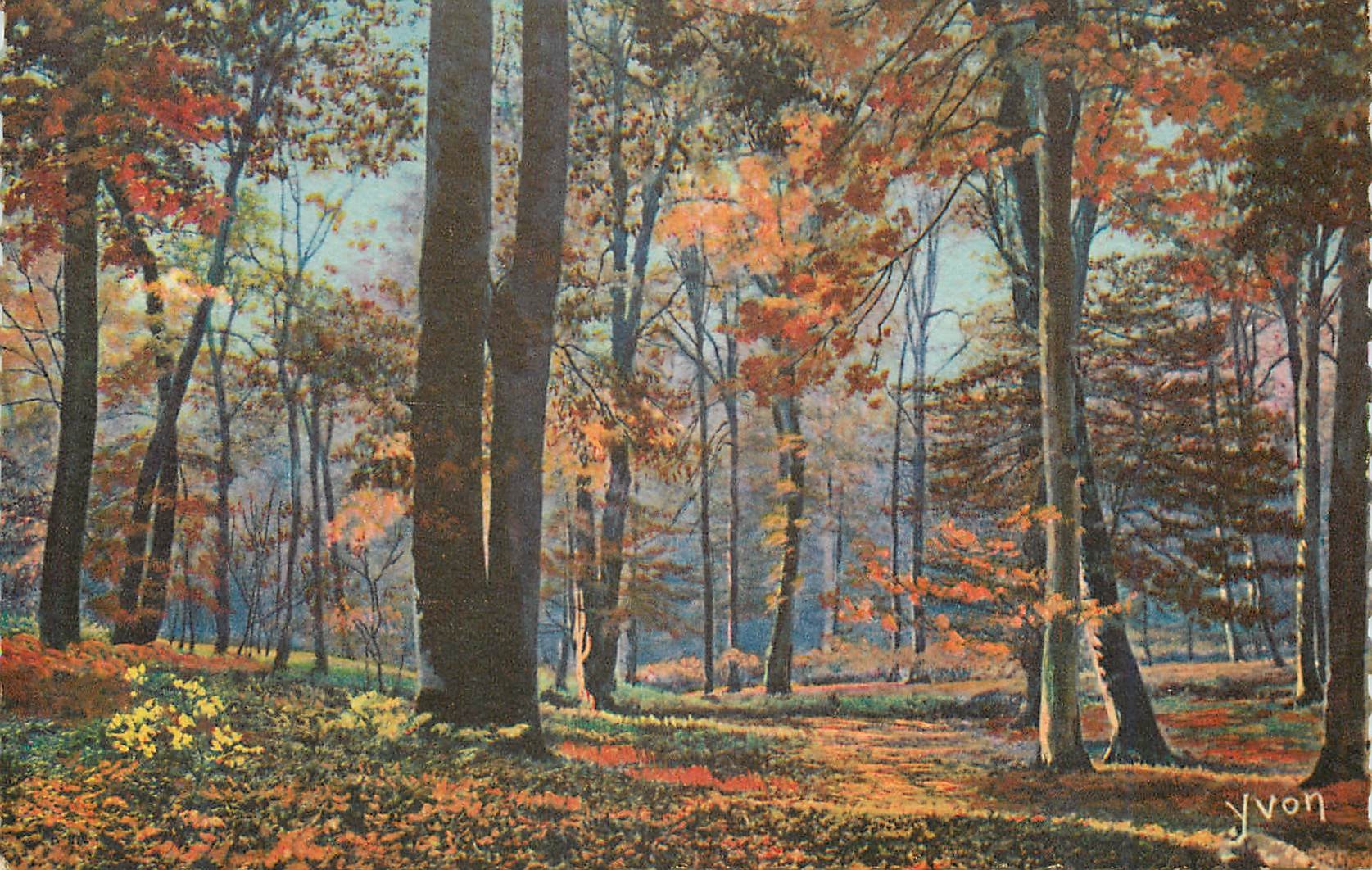Fontainebleau (S.-et-M.) — La Forêt — Matinée d'automne — Éditions d'Art Yvon