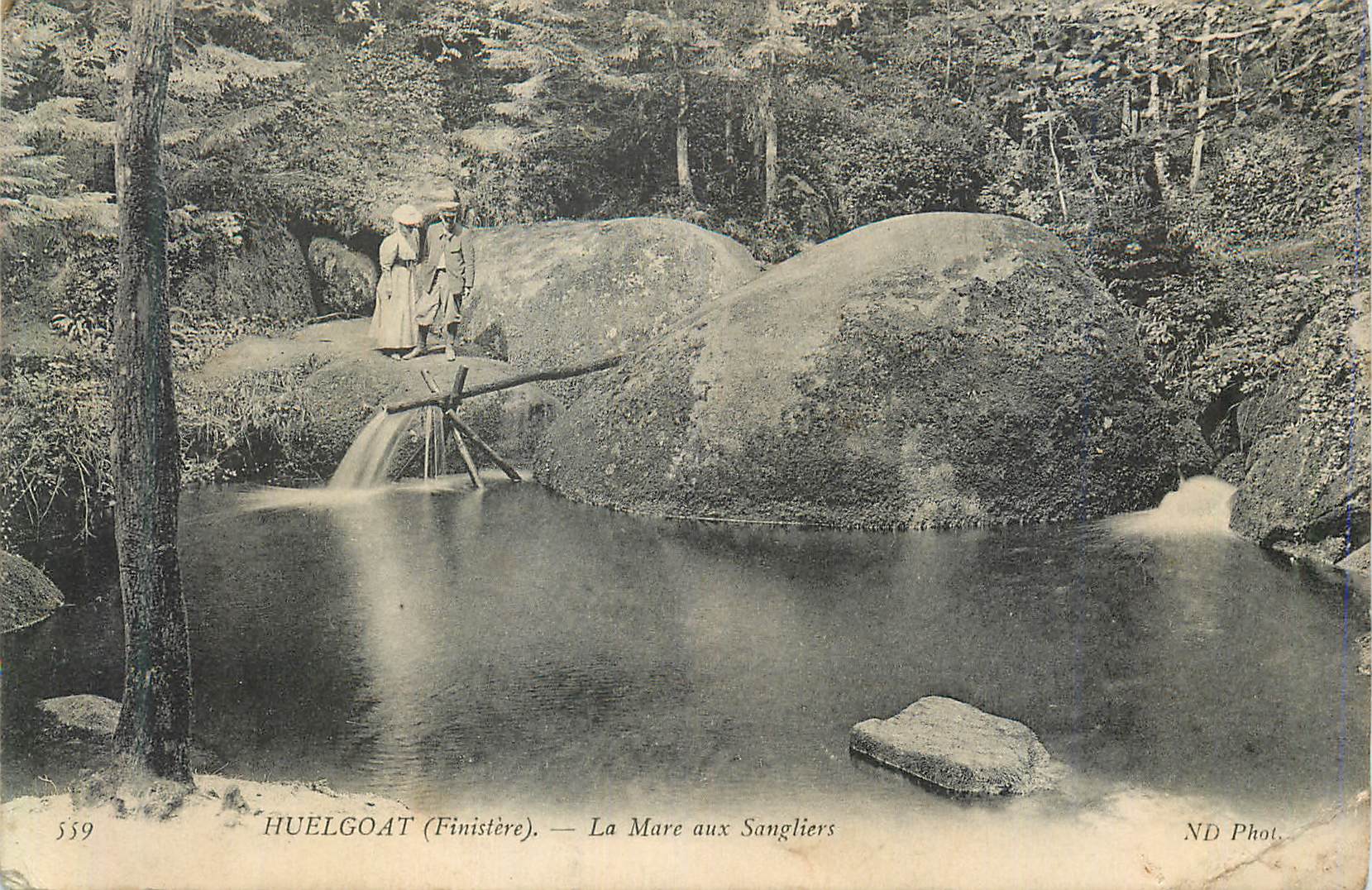 CPA Huelgoat (Finistere) la Mare aux Sangliers