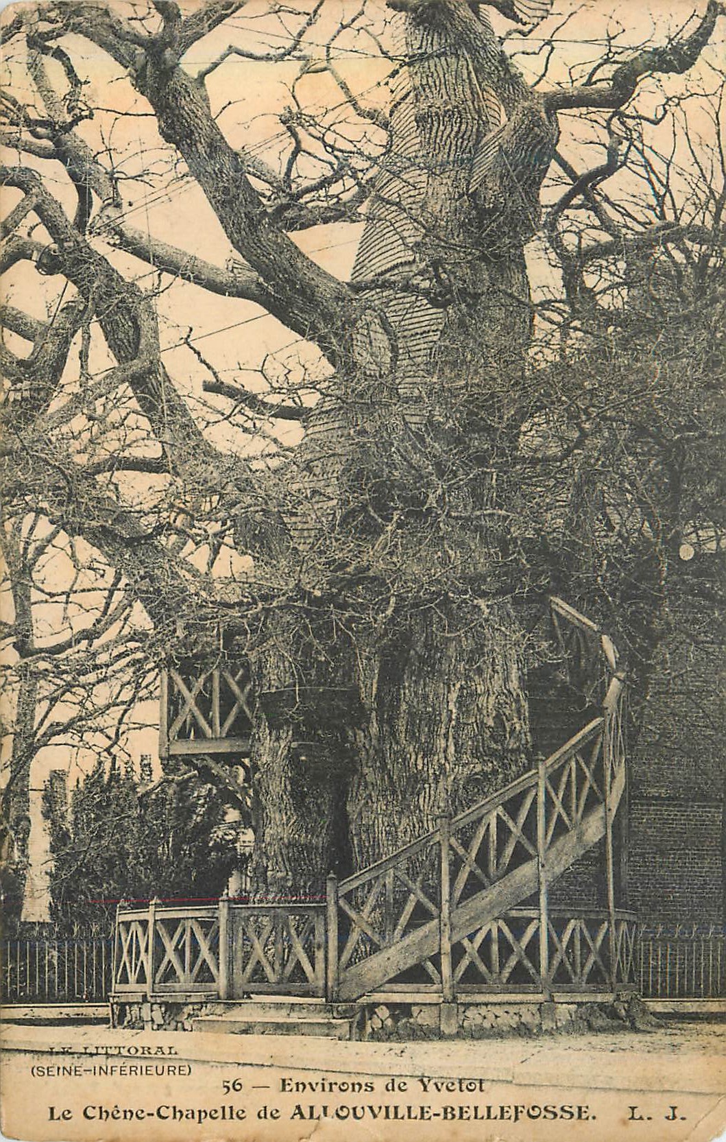 CPA Allouville Bellefosse Environs de Yvelot le Chene Chapelle 