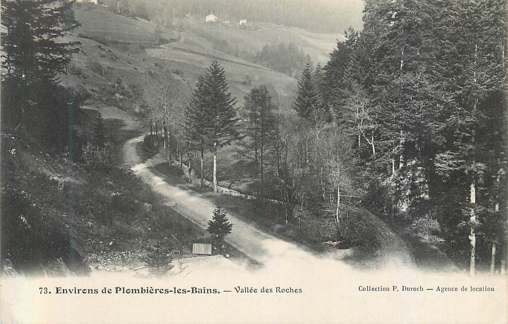 CPA Environs de Plombieres les Bains Vallee des Roches