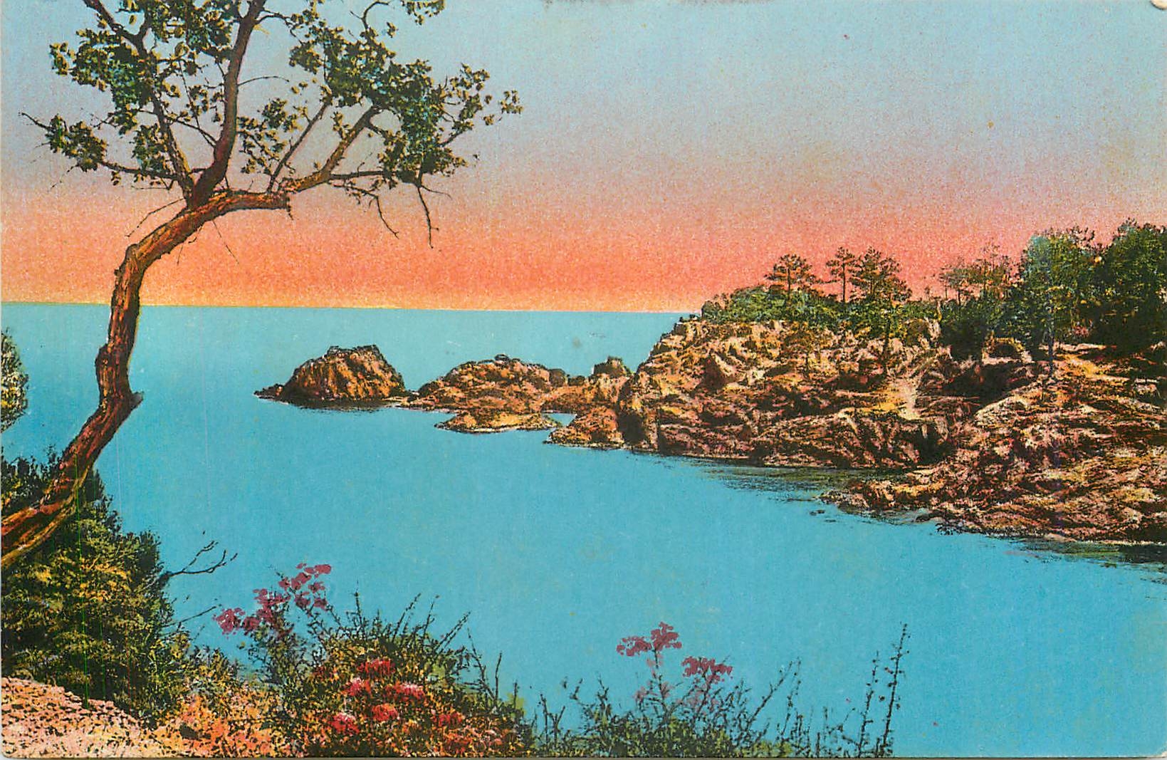 CPA Vue Artistique Bord de Mer Esterel (Cote d'Azur)
