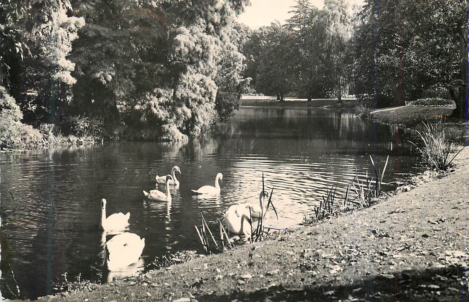 CPM Tours (Indre et Loire) Jardin des Prebendes d'Oe Promenade des Cygnes sur le Lac