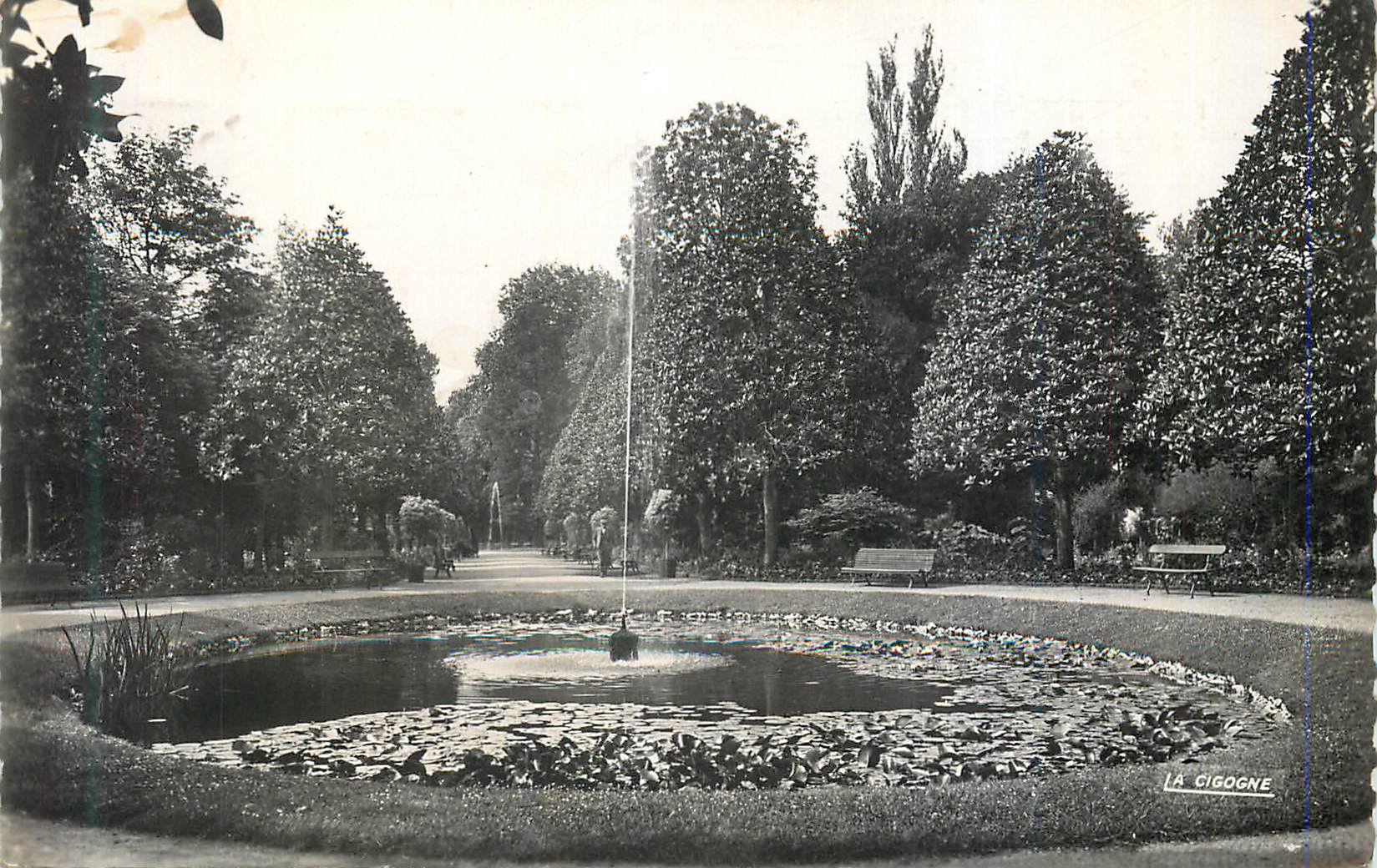 CPM Tours (Indre et Loire) le Jardin Botanique