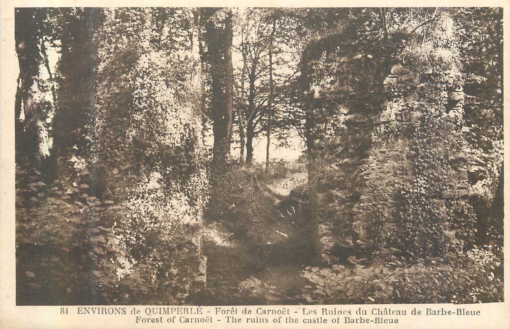 CPA Environs de Quimperle Foret de Carnoel les Ruines du Chateau de Barbe Bleue 
