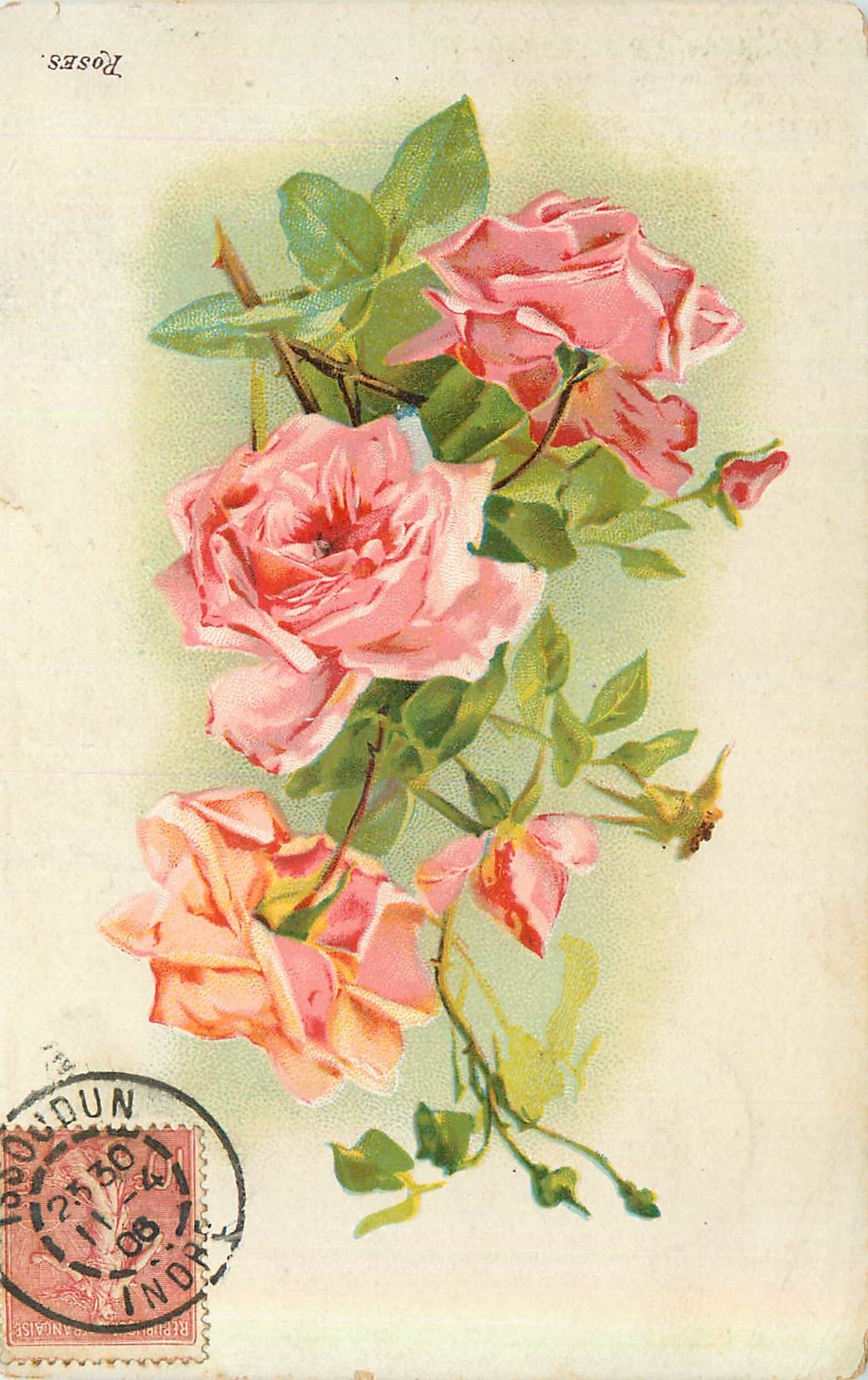 CPA Fleurs