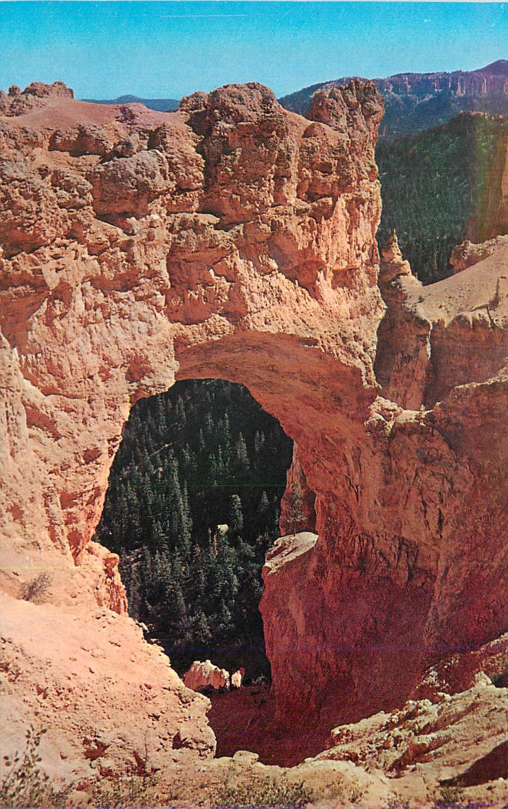 CPM Utah Bryce Canyon Natinal Park Natural Bridge