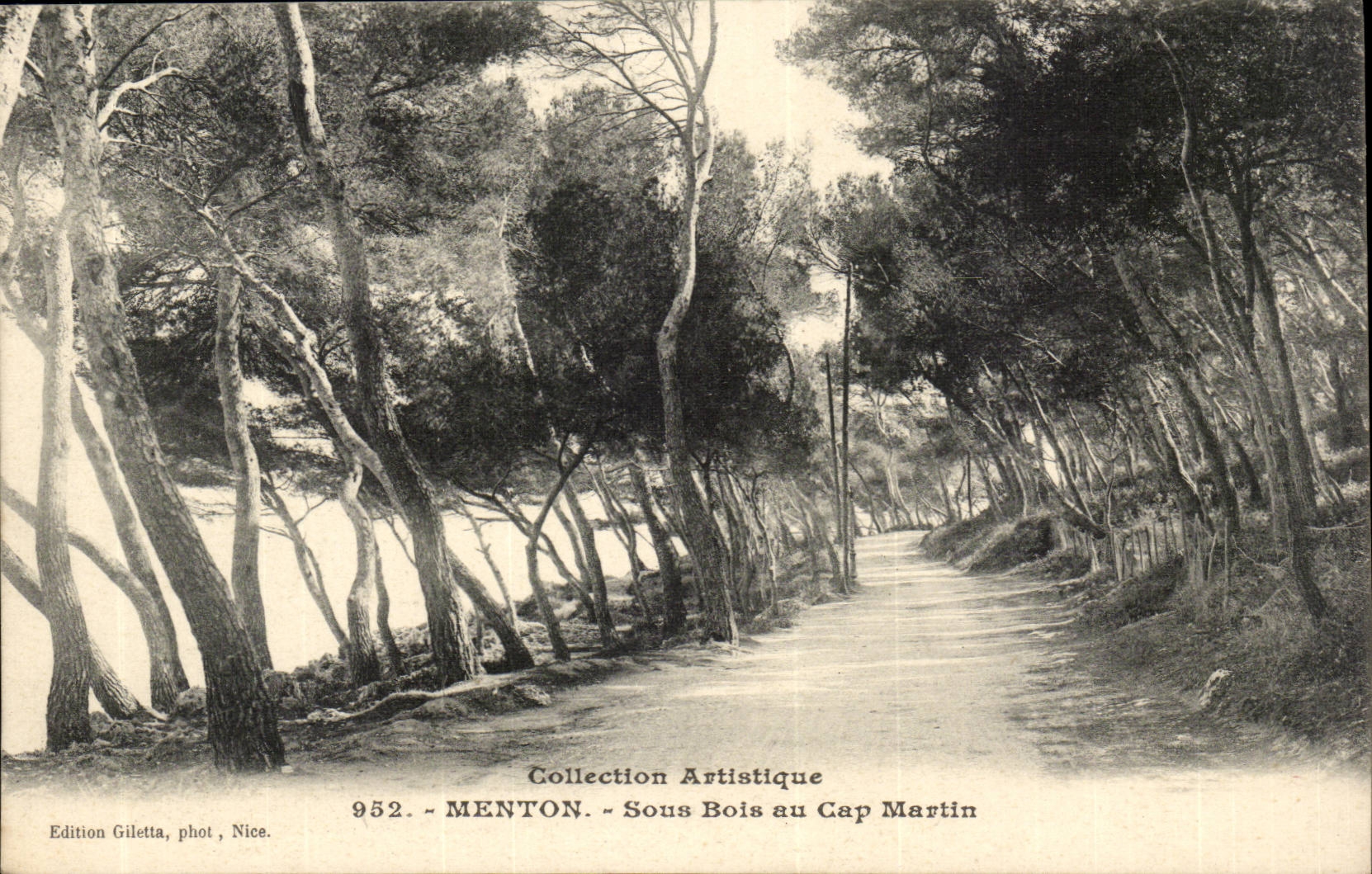Menton - Collection Artistique - Sous Bois au Cap martin - CPA 