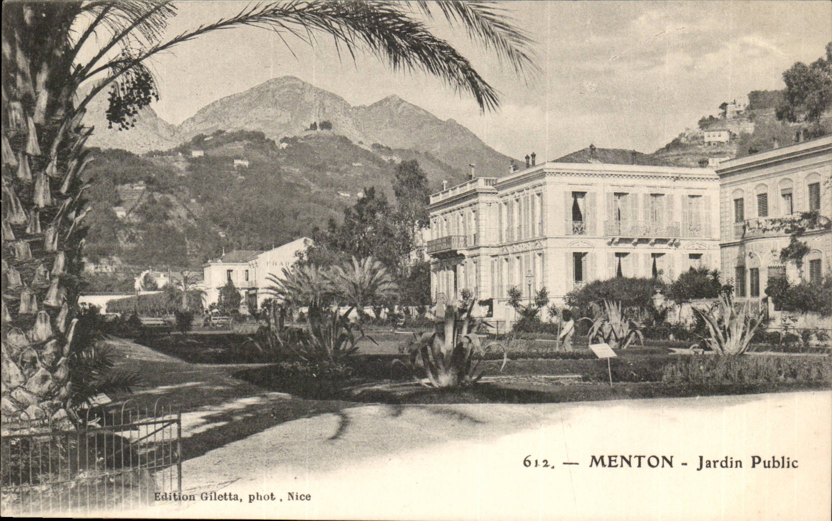 Menton - Jardin Publique - palmier -palm tree - CPA 