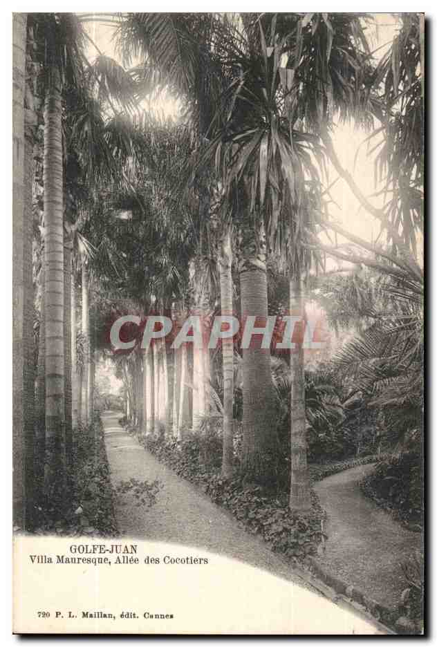 Golfe -Juan - Villa Mauresque - Allee des Cocotiers - CPA 