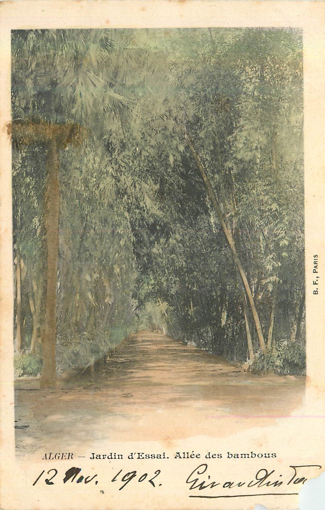 Alger — Jardin d'Essai. Allée des bambous — B.F., Paris