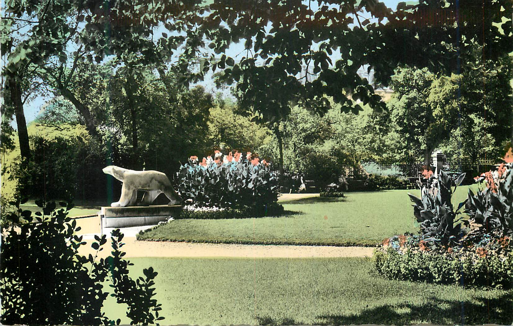 CPM Dijon (Cote d'or) Jardin Darcy Ours blanc