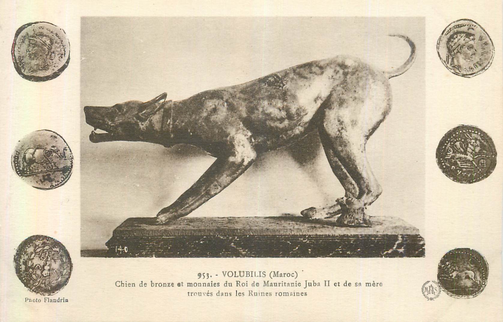 CPA Volubilis (Maroc) Chien de Bronze et Monnaies du Roi de Mauritanie Juba II et de sa Mere Pieces de monnaie