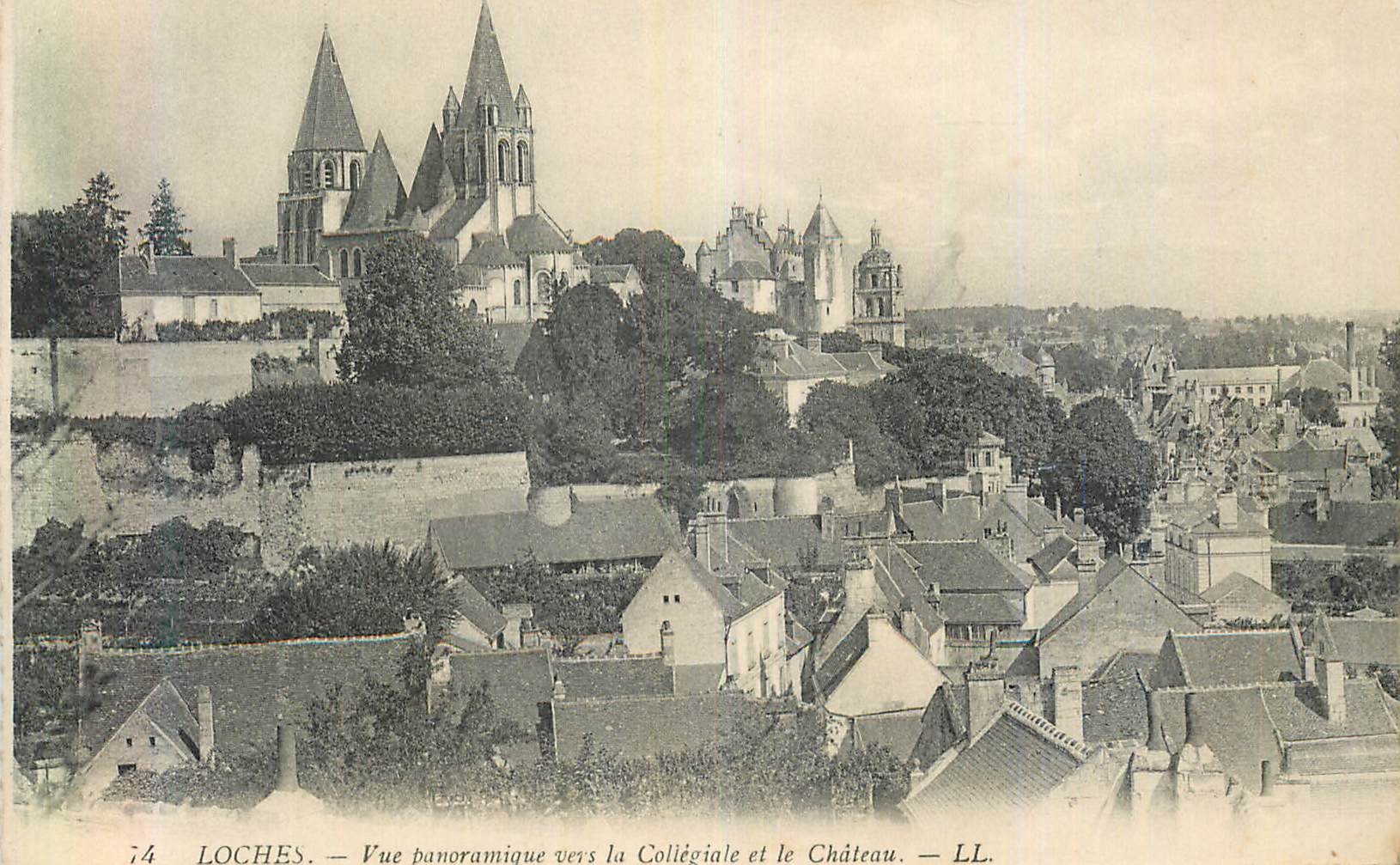 CPA Loches Vue Panoramique vers la Collegiale et le Chateau