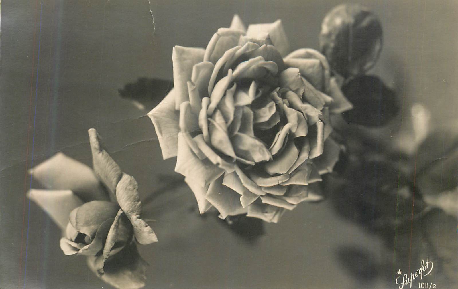 CPA Fleurs