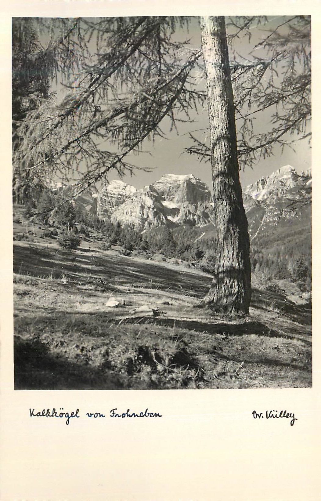 CPM Kalkkogel Von Frohneben
