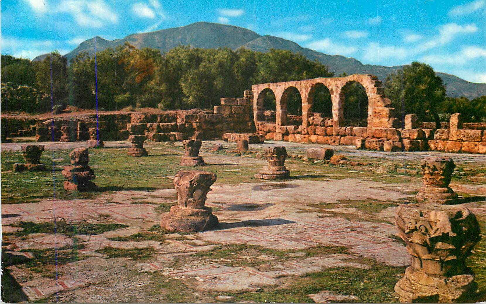 Tipaza — Ruines de la Grande Basilique Chrétienne (IVe siècle) — Éditée par l'Agence de Tourisme Algérienne, n°31