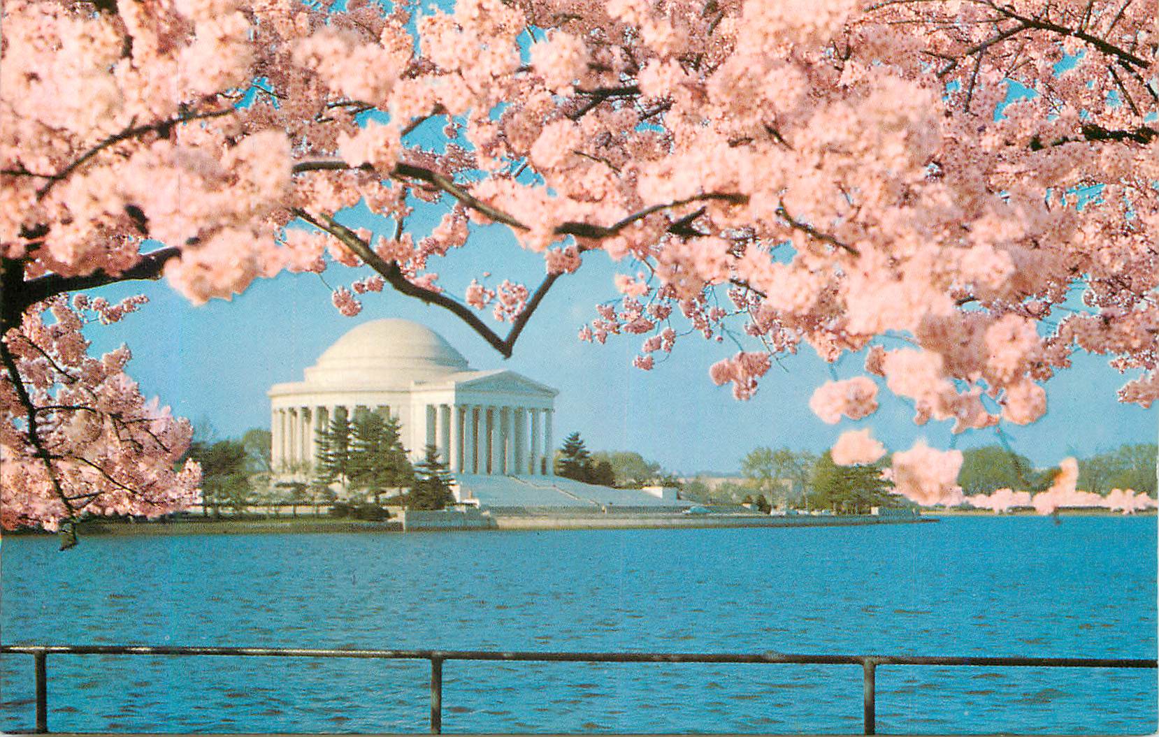 CPM Jefferson Memorial South Side of the Tidal Basin