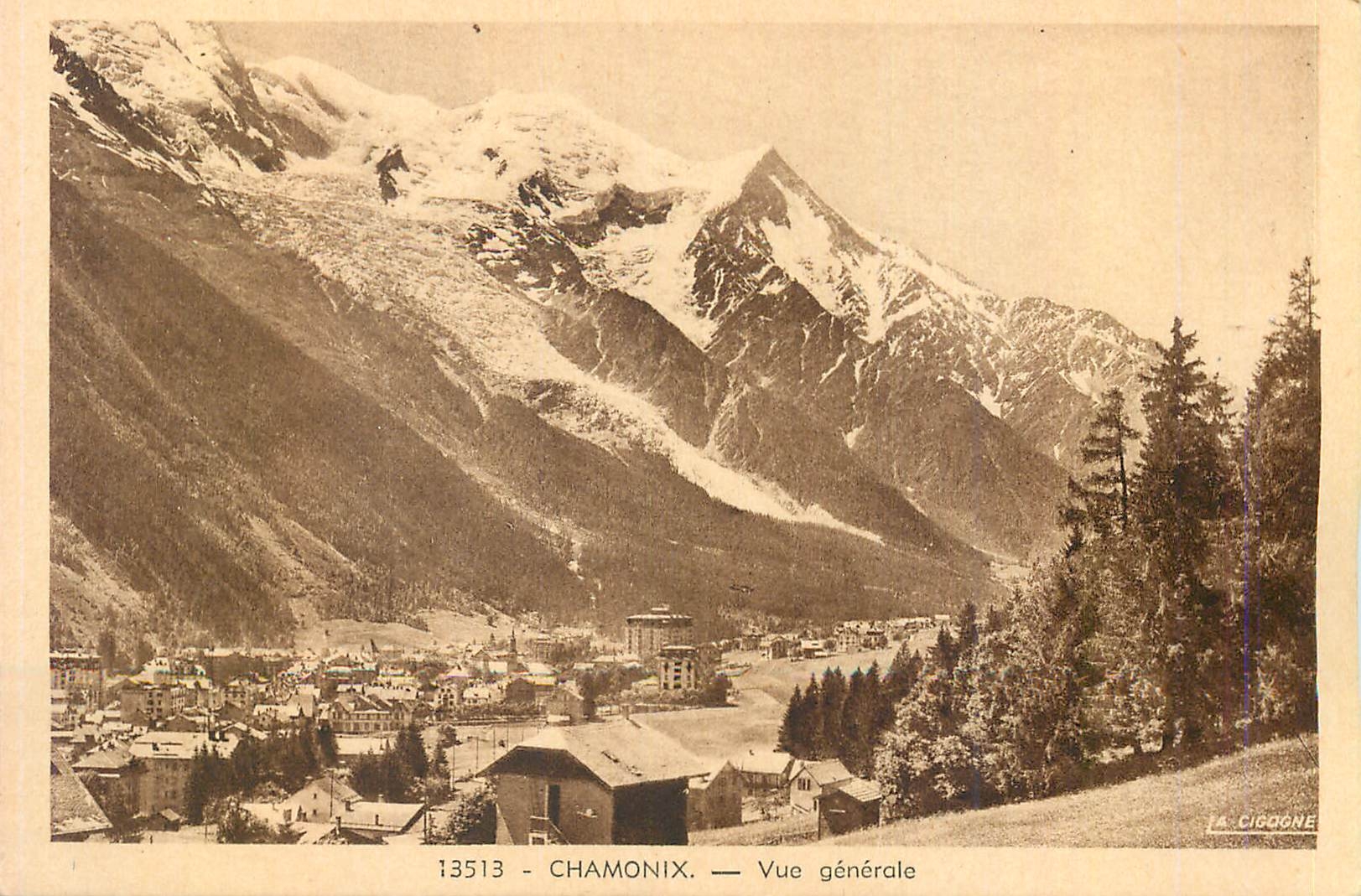 CPA Chamonix Vue Generale
