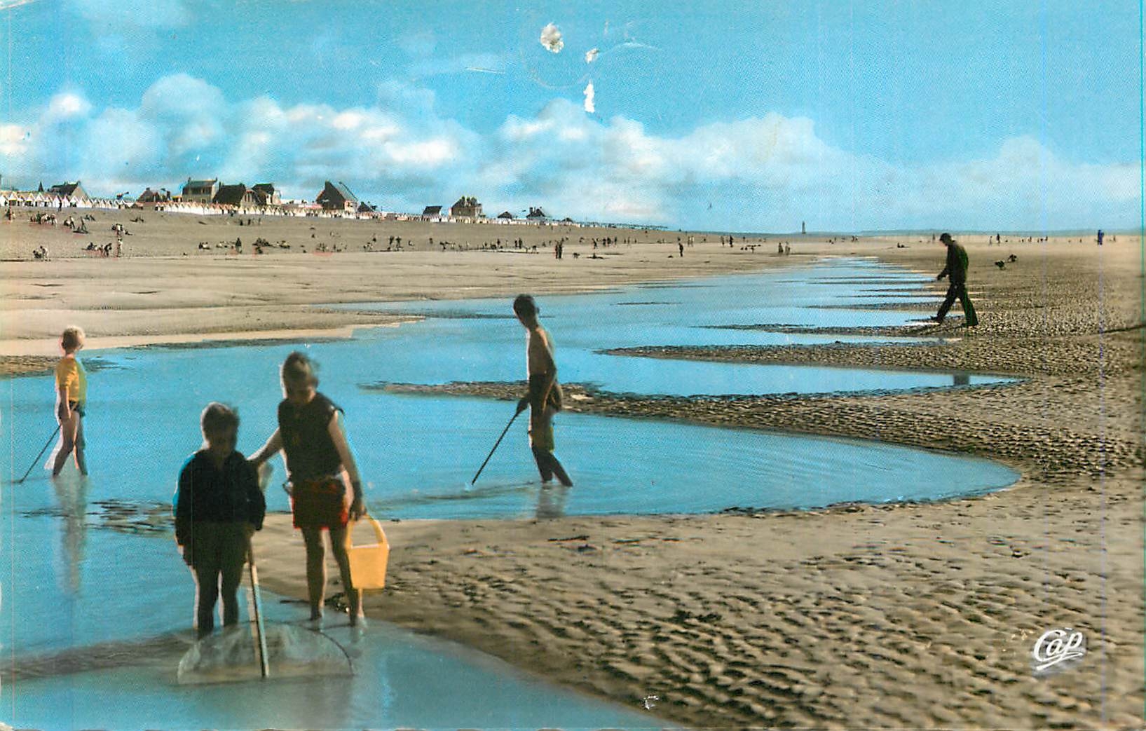 CPA Cayeux sur Mer La Plage a Maree Bassse