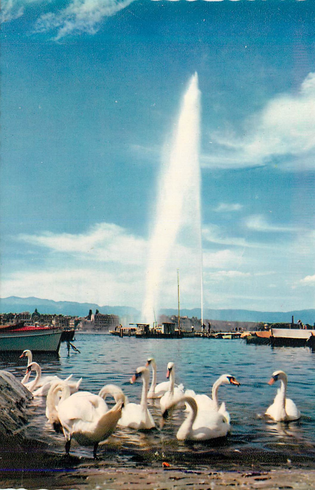 CPM Geneve Le Jet d'Eau (120 m) et Les Cygnes