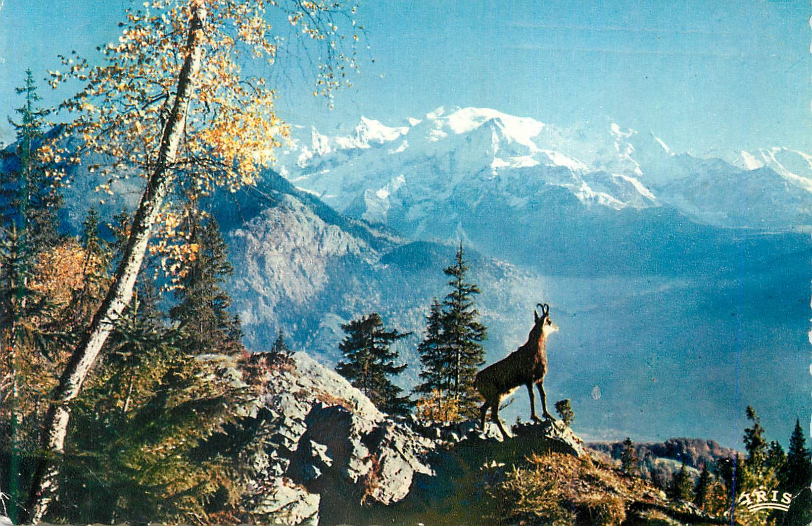 CPM Le Chamois des Alpes