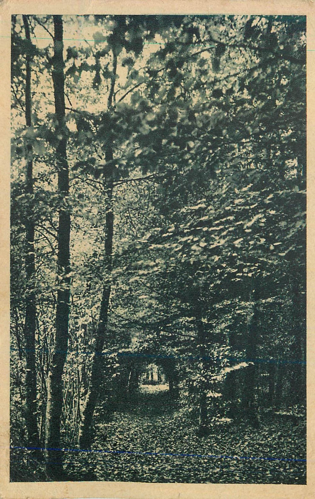Bonnemain (Ille-et-Vilaine) — Château des Diablaires, Maison de Plein-Air des Pupilles de l'École Publique du Nord — N° 070104