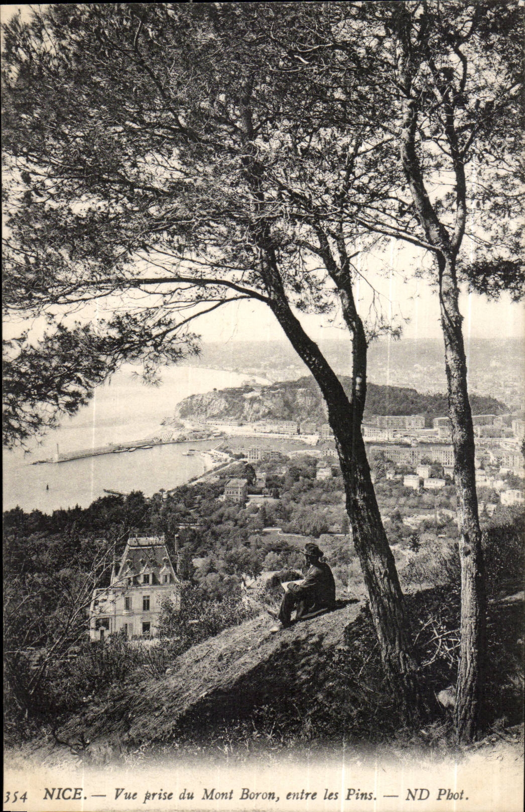 Nice CPA Vue prise du Mont Boron entre les pins