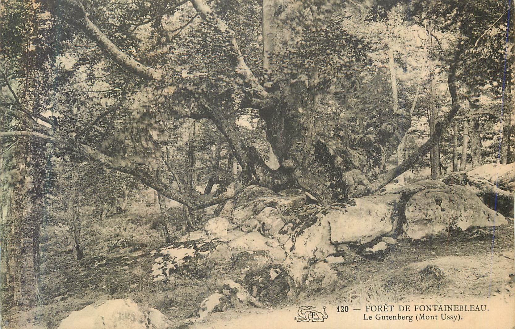 Le Gutenberg (Mont Ussy) — Forêt de Fontainebleau — Éditeur non identifié, n° 120