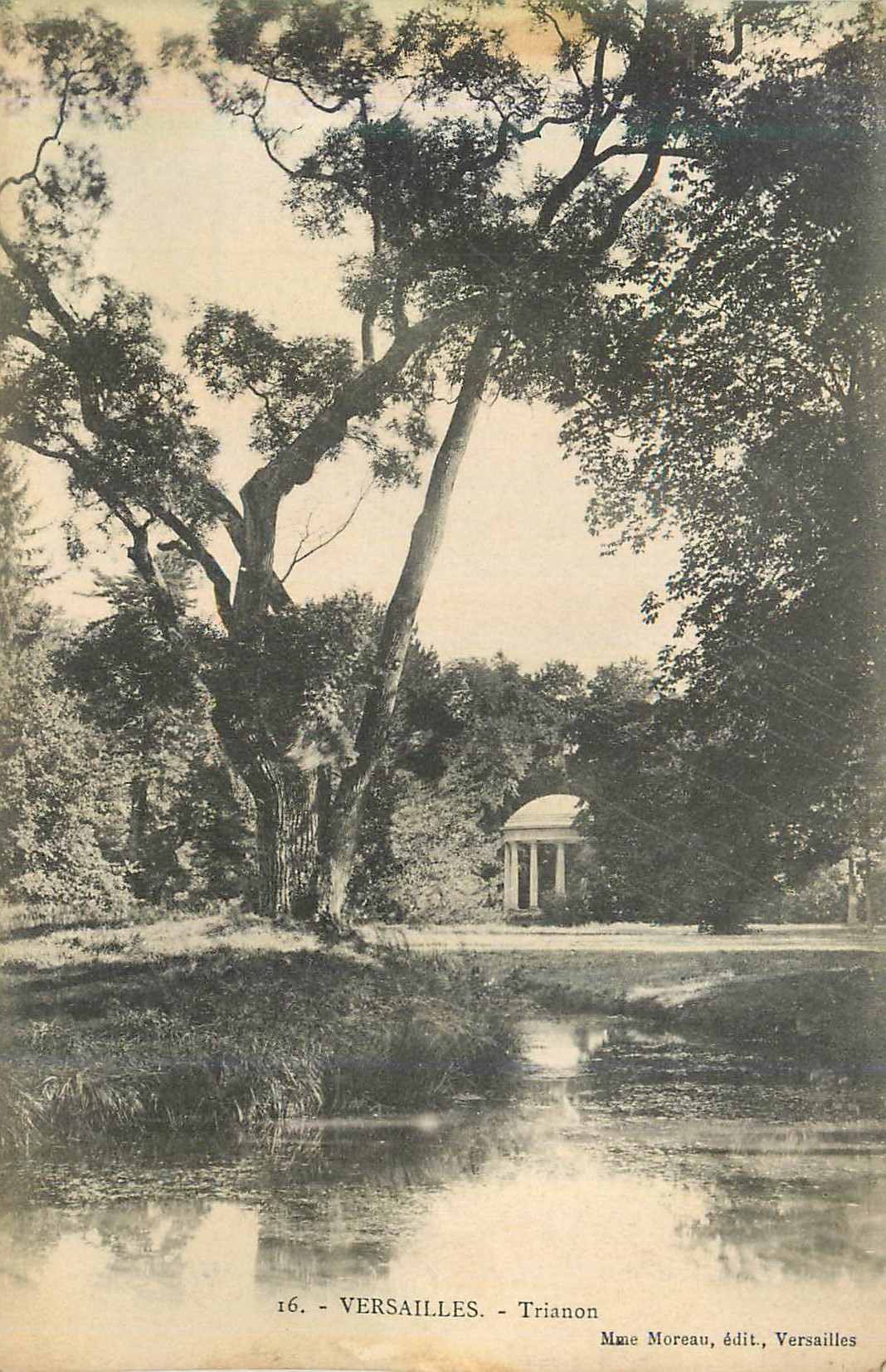 Versailles - Trianon — vue du Trianon sous un grand arbre — Mme Moreau, édit., Versailles