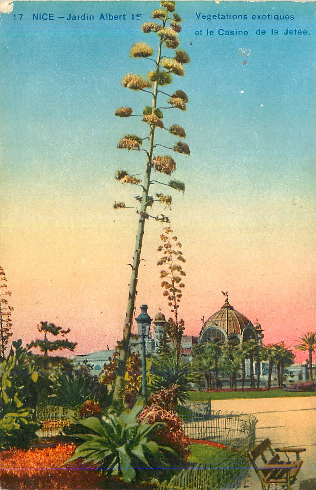 CPA 17 nice jardin albert 1er vegetations exotiques et le casino de la jetee