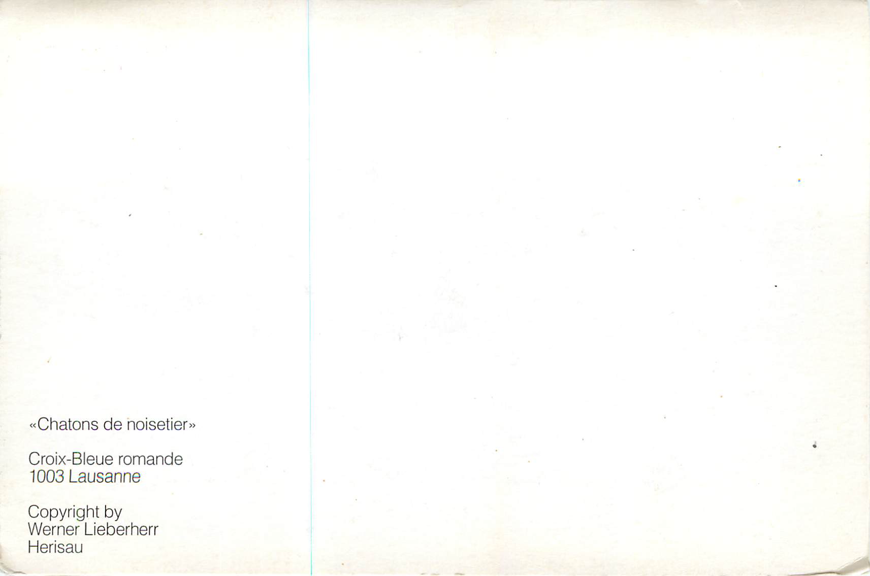 CPA Chatons de noisetier croix bleue romande 1003 lausanne — Verso