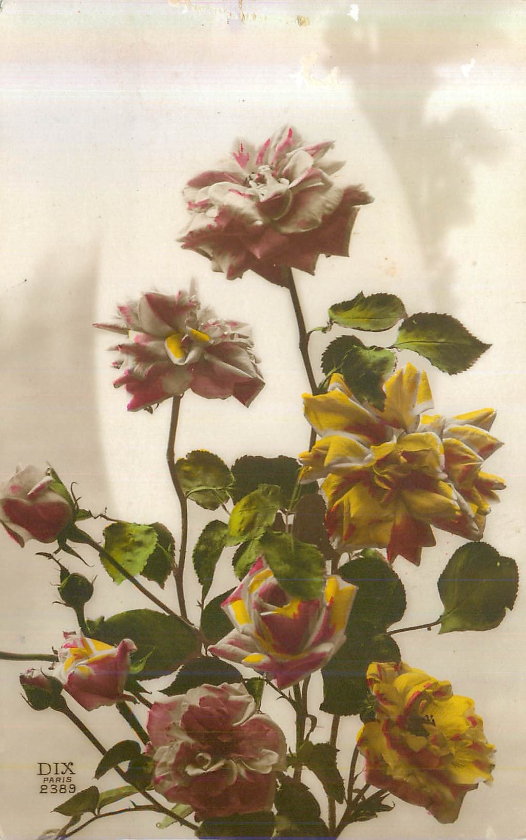 CPA Fleurs