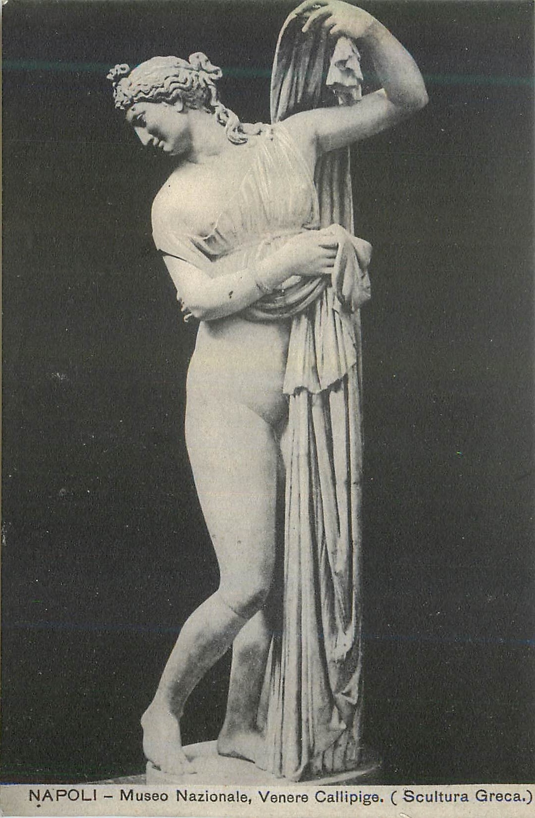CPA Napoli museo nazionale venere callipige (scultura greca)