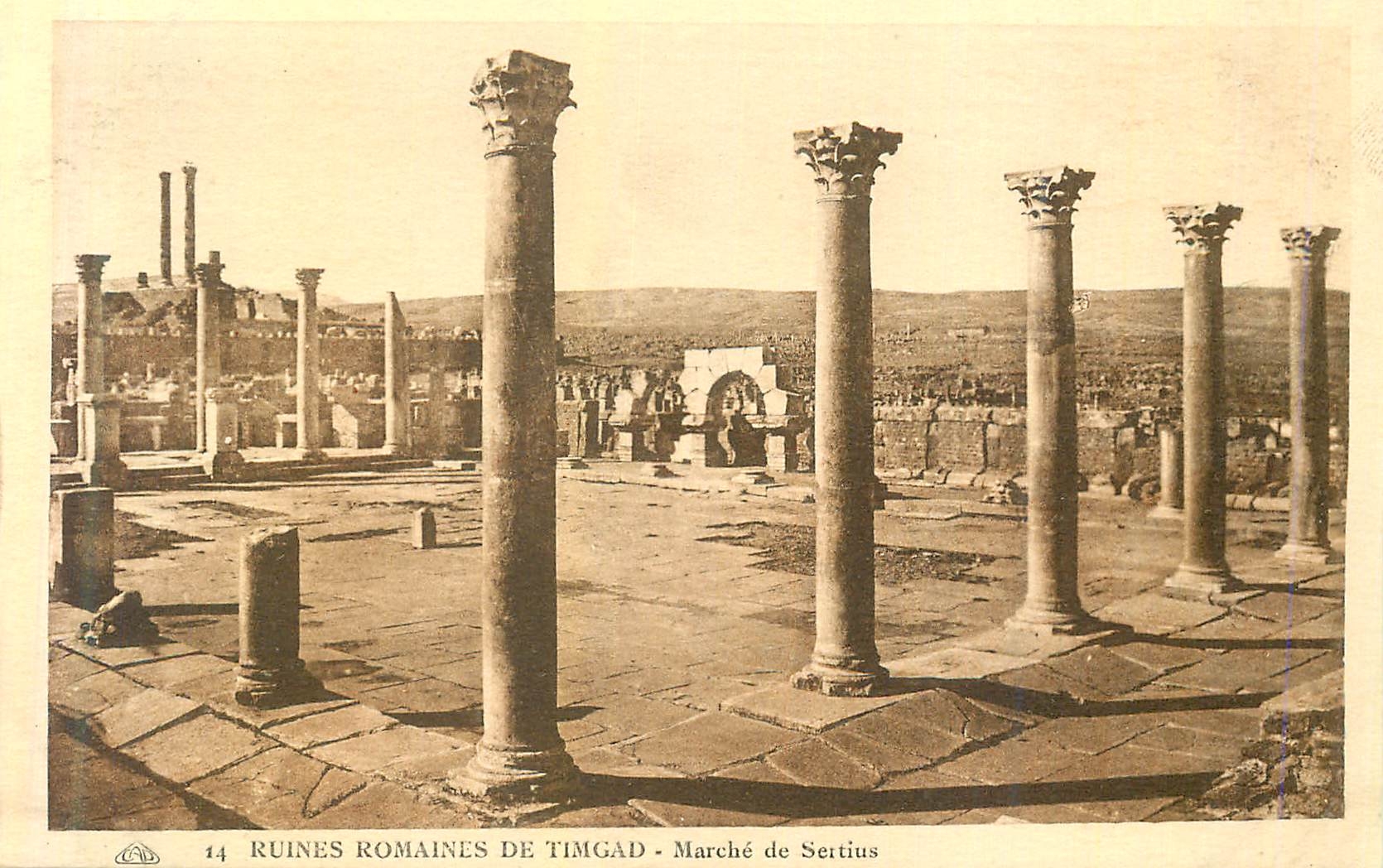 CPA 14 ruines romaines de timgad marche de sertius
