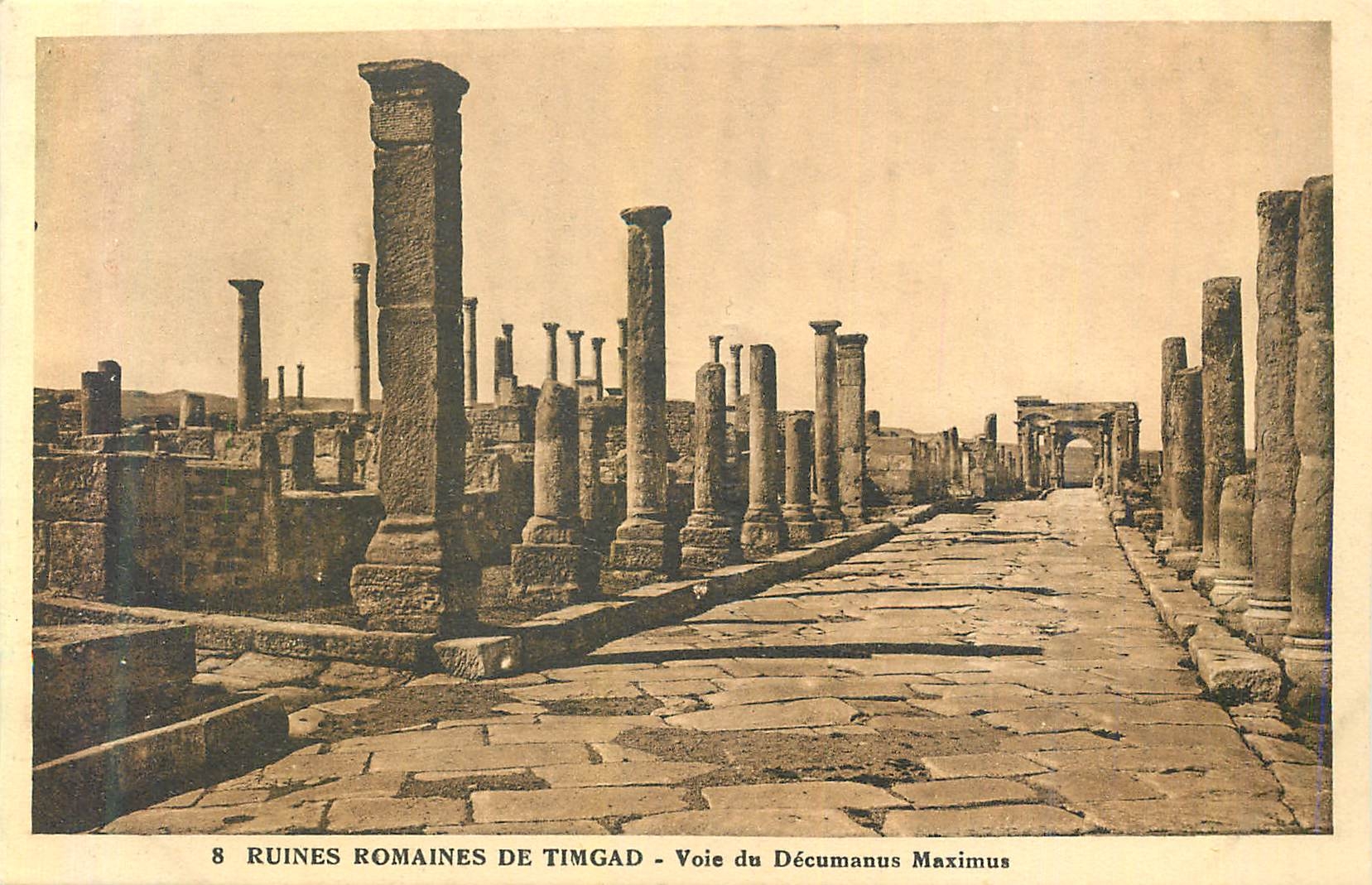 CPA 8 ruines romaines de timgad voie du decumanus maximus