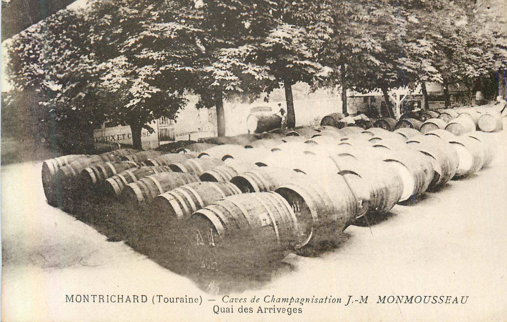 CPA Montrichard (touraine) caves de champagnisation j m monmousseau quai des arrivages