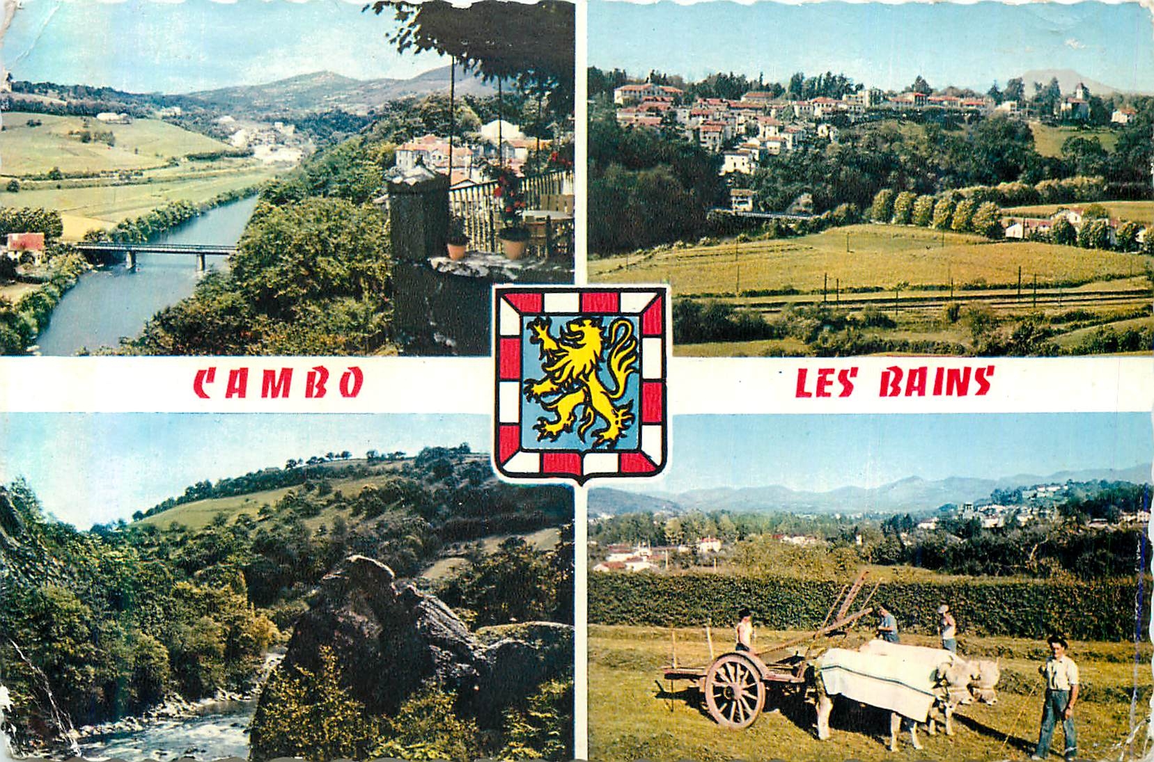 CPM Cambo les bains 1674 vue generale vue d ensemble la nive au pas de roland attelage Bœufs