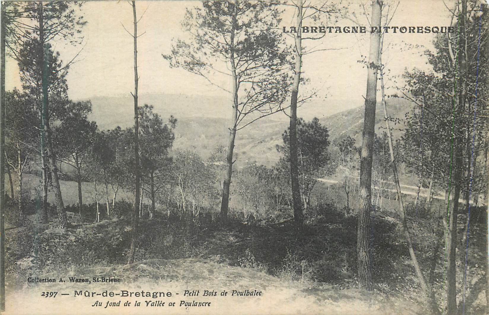CPA La bretagne pittoresque 2397 mur de bretagne petit bois de poulbalee au fond de la vallee de poulancre