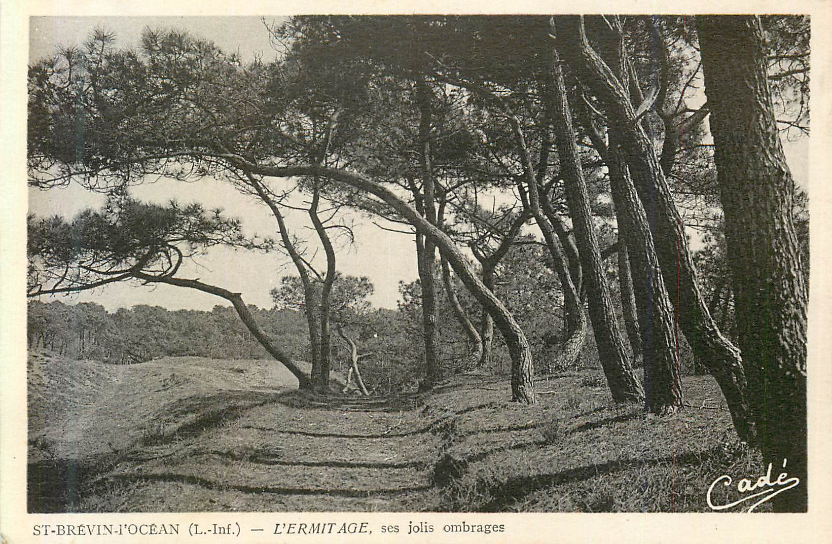 CPA St brevin l ocean (l inf) l ermitage ses jolis ombrages