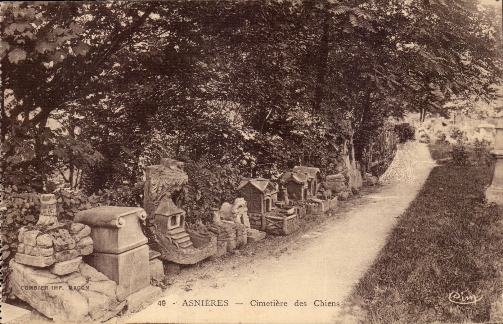 CPA Asnieres Cimetiere des chiens (dog dogs chien lupus)