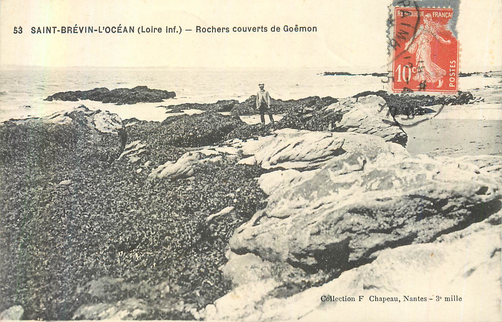 CPA Saint Brevin L'Ocean (Loire Inf) Rochers Couverts de Goemon