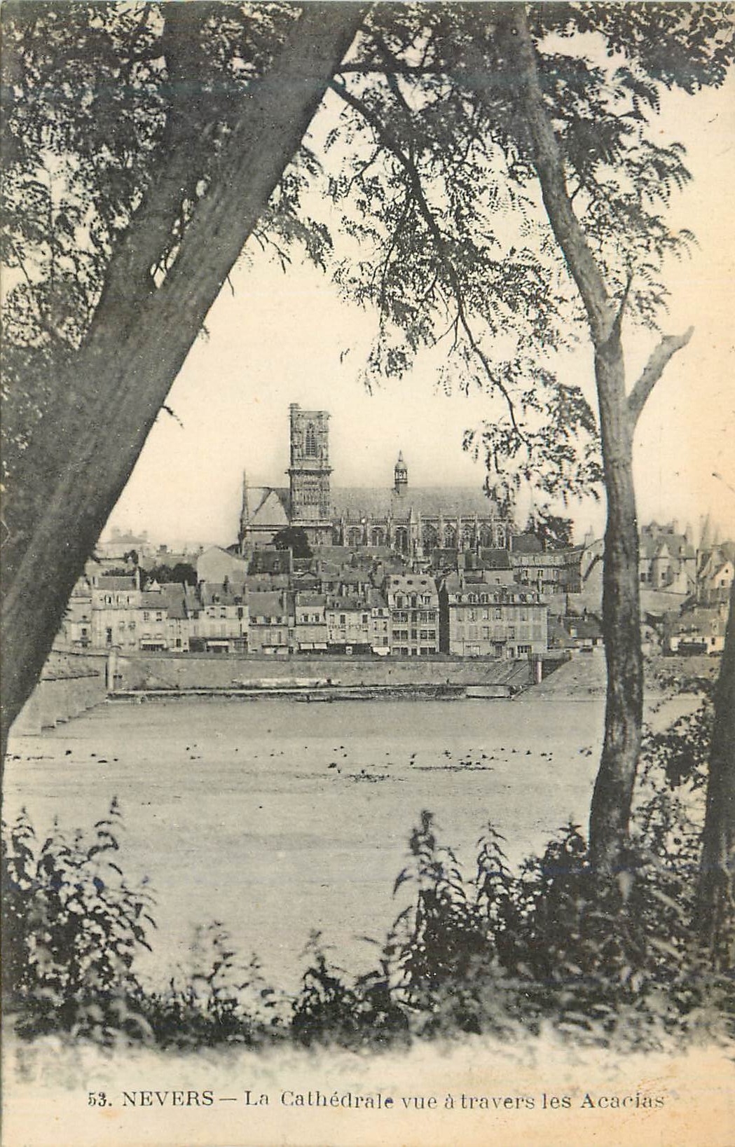 CPA Nevers La Cathedrale vue a Travers les Acacias